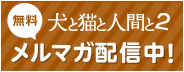 メルマガ配信中