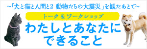 トーク＆ワークショップ　わたしとあなたにできること