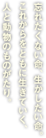忘れたくない命、活かしたい命。これからをともに生きていく、人と動物のものがたり。