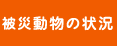 被災動物の状況